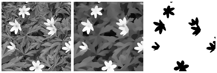 ch09_fig9-7_flowers